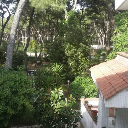 Rossella Pulsano